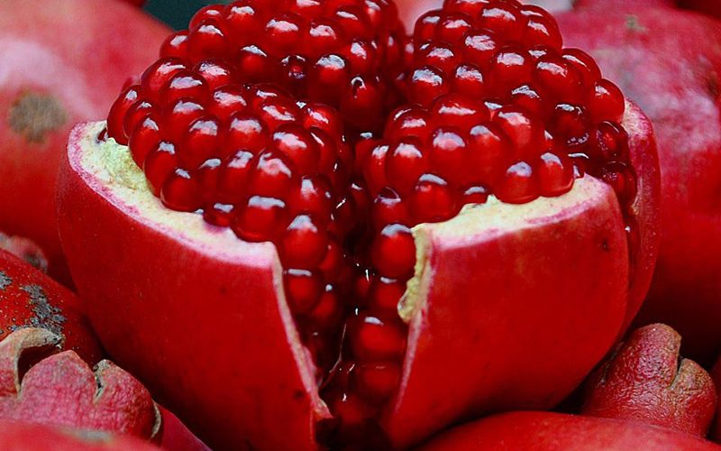 pomegranate-800x500