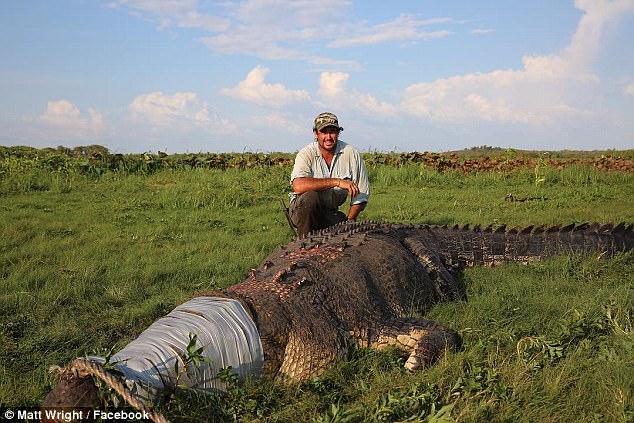 شکار یک تمساح 5 متری با 800 کیلو وزن