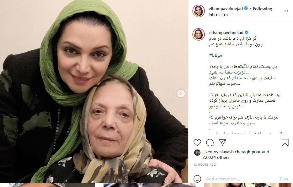 Screenshot_2021-02-03 Elham Pavehnejad ( elhampavehnejad) • Instagram photos and videos