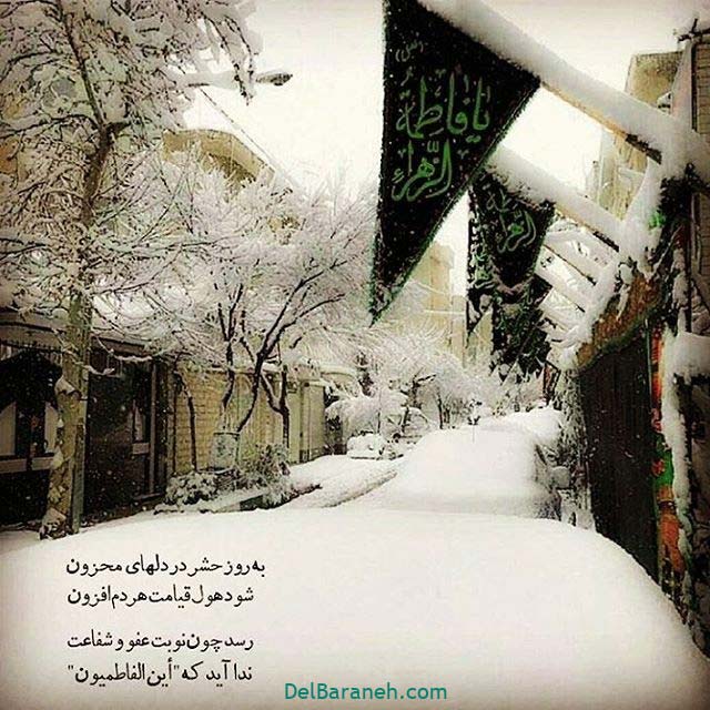 گالری عکس فاطمیه