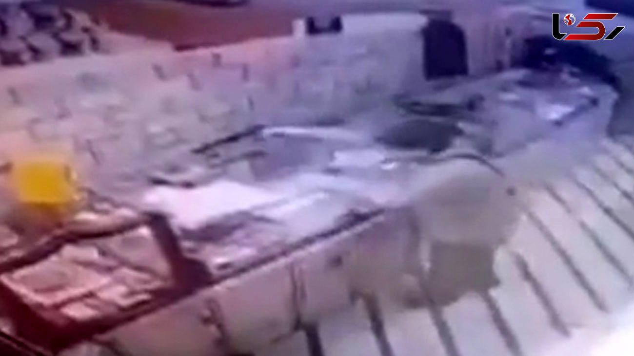  سارقان مسلح طلافروشی در انتظار رای دادگاه کیفری هستند + عکس و فیلم 