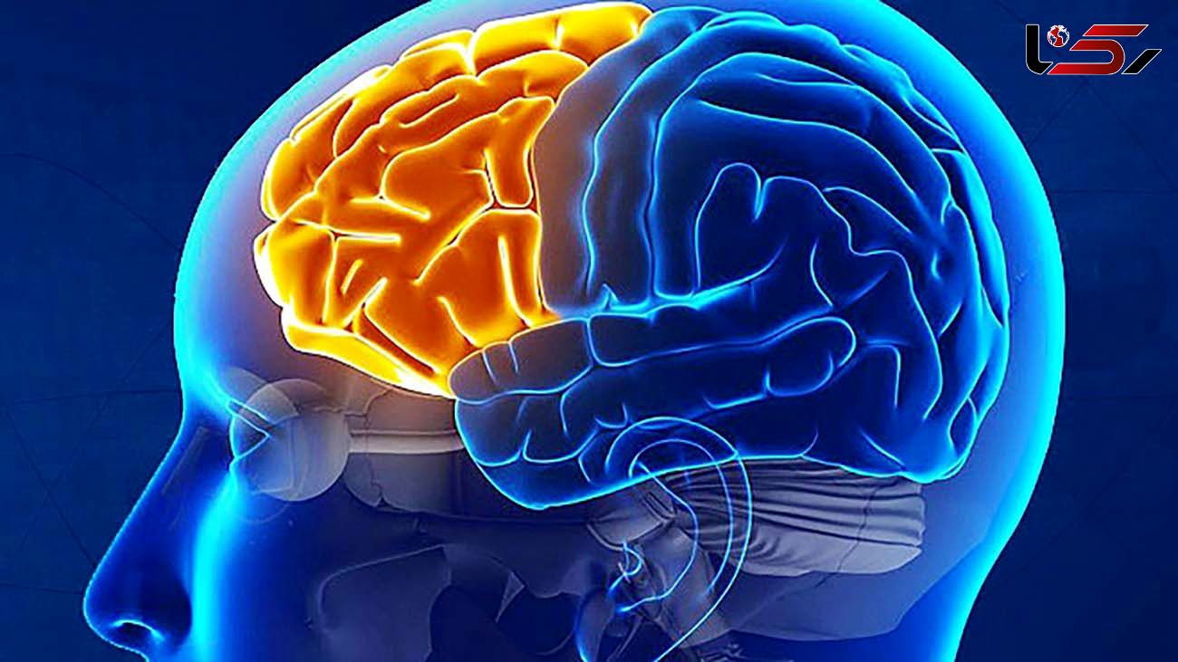 برای جوان ماندن مغزتان این راهکارهای ساده را انجام دهید