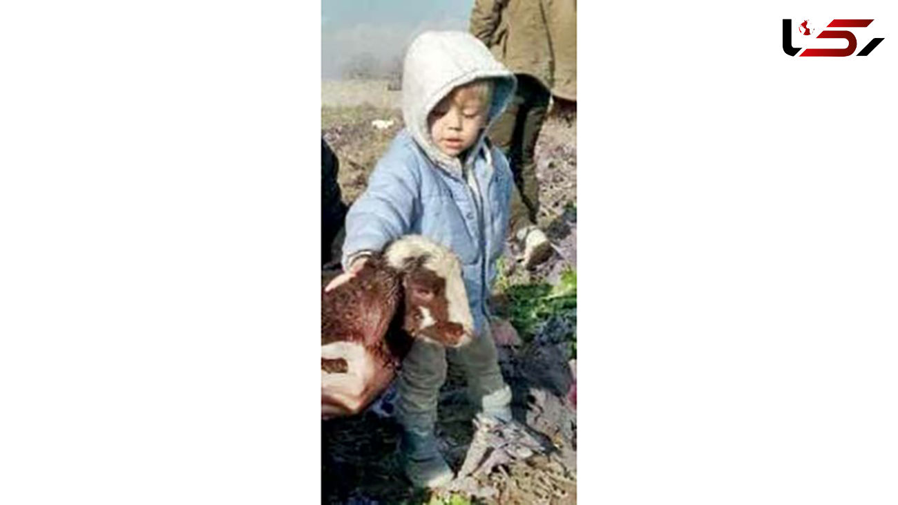 جنازه کودک ربوده شده در چاه فاضلاب پیدا شد/ در ساوجبلاغ فاش شد + عکس