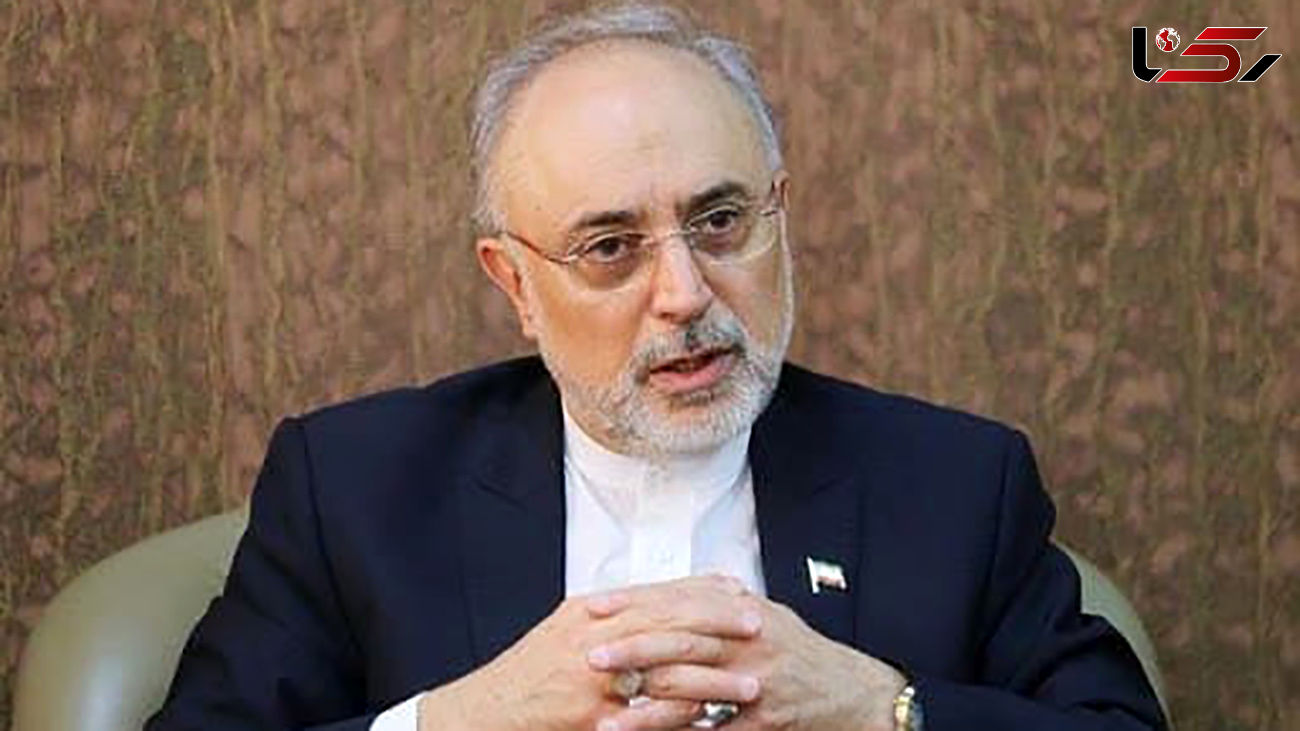 صالحی: اورانیوم ۶۰ درصد ربطی به سوخت راکتور تهران ندارد