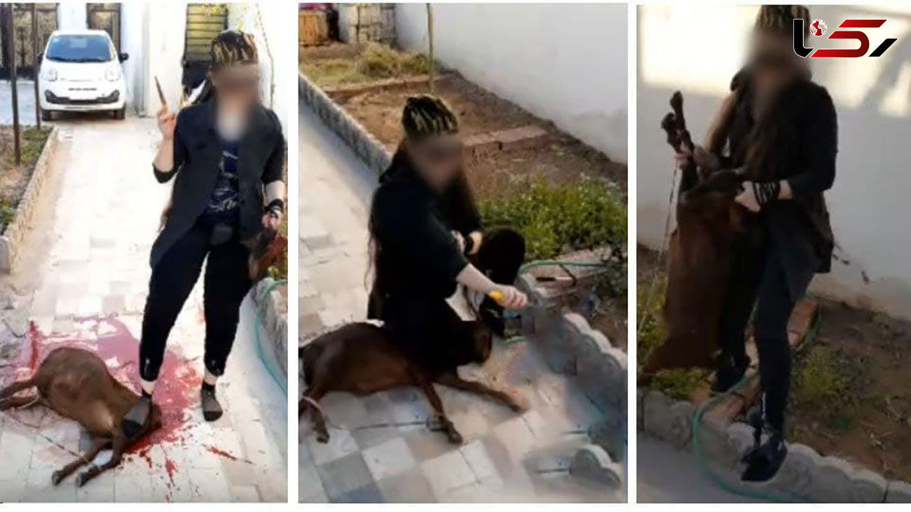 جولان خانم‌ قصاب های تهرانی با ذبح وحشیانه حیوانات / فقط 500 هزار تومان + عکس ها 