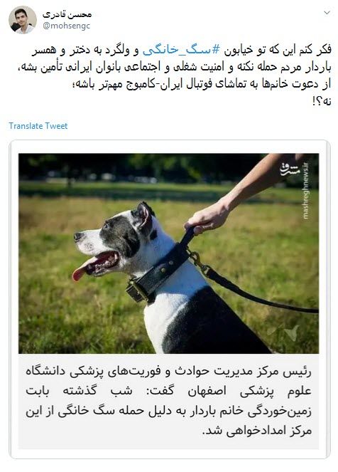 واکنش تند کاربران به حمله یک سگ عظیم الجثه خانگی به زن باردار +تصاویر