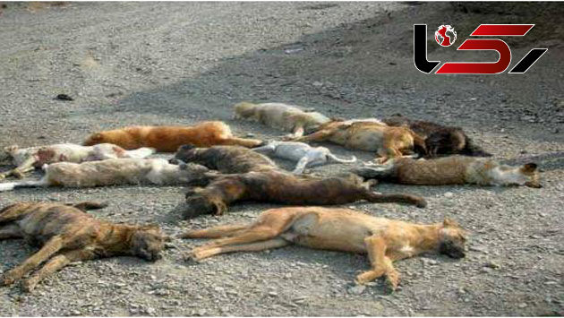 فاجعه در همدان / دهیار بی وجدان دست به کشتار زد+ عکس